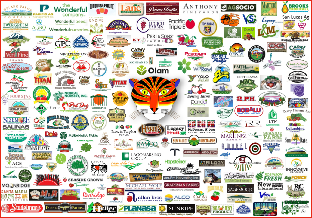 Some of the companies using the PET Tiger System